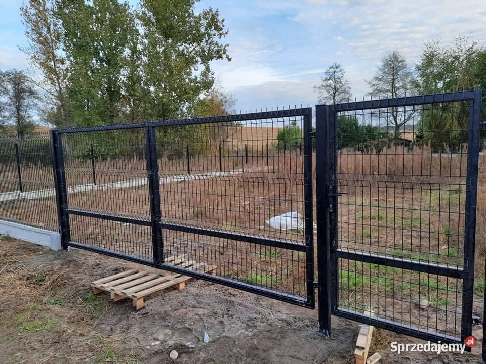 Ogrodzenia Palisadowe Panelowe Ocynk Ral 3D2D Ogrodzenia i bramy Szczawin Kościelny