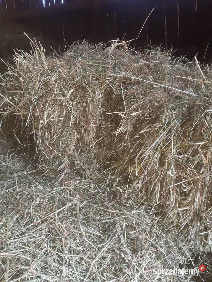 Siano kostka koni królików bydła Trawy, słoma śląskie Kończyce Małe