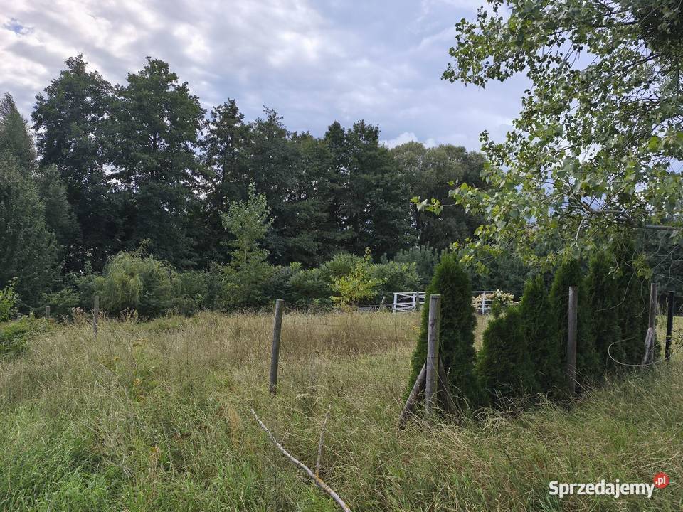 Działka na sprzedaż Wąsosz 500m2 Sprzedaż