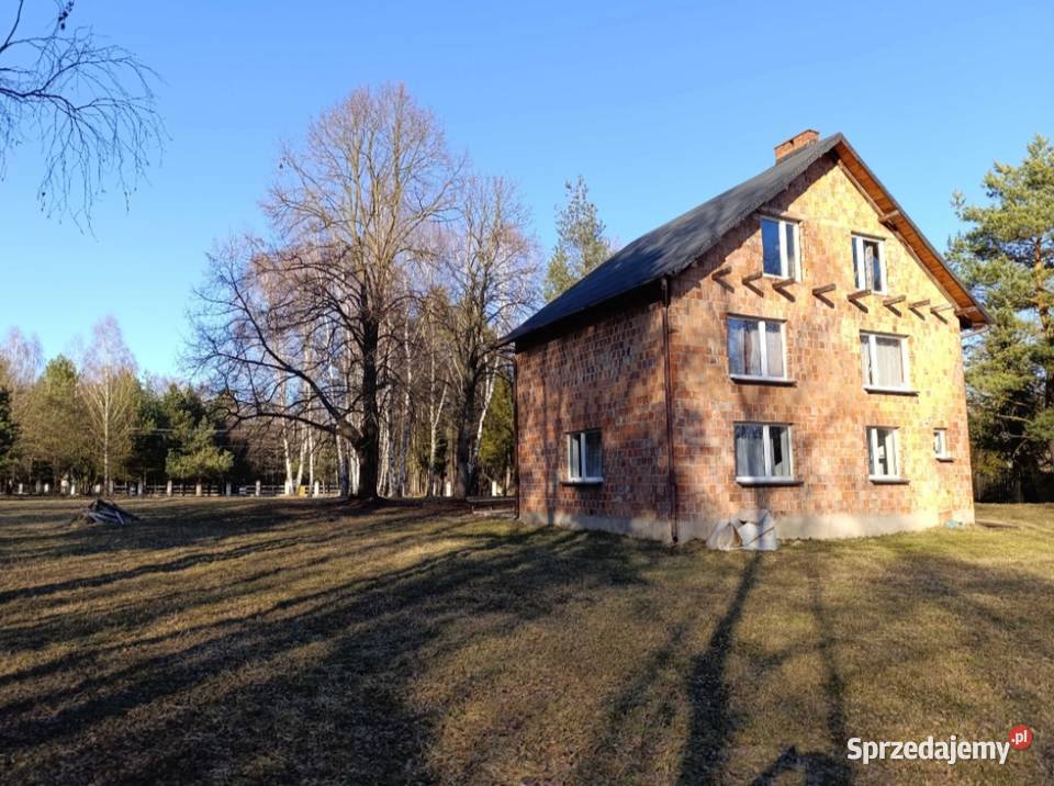 Dom z wyjątkową działką prywatność dookoła 8000m2 Siedlec Duży