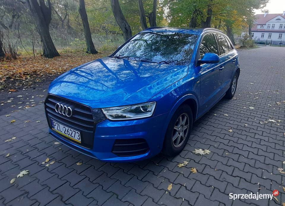 Audi Q3 2016r 2x sline manual panorama hak skóry Audi wielkopolskie Jastrowie