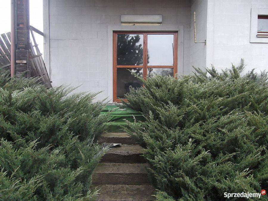 sprzedam dom wolnostojący Kraków Rybitwy 96m2 Kraków