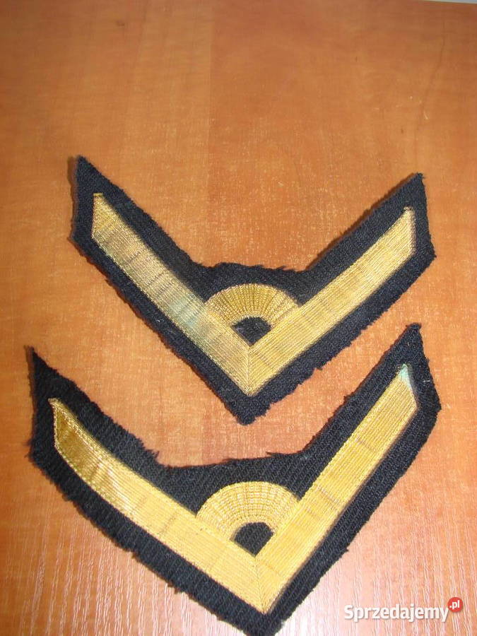mł chorąży MW dystynkcje sprzedam