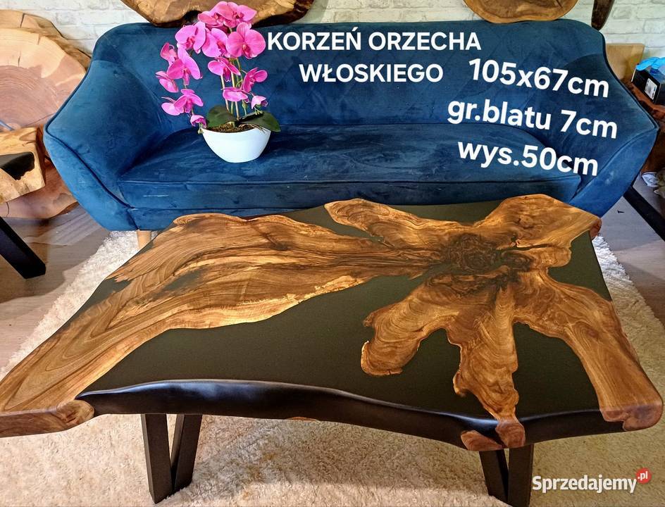 Ława 105x67 korzeń orzecha włoskiego loft Śrem