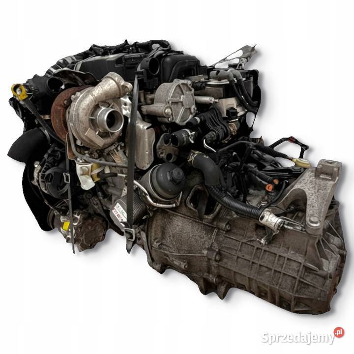 SILNIK G8DB Ford Focus II MK2 C 16 TDCI 109 Chełm