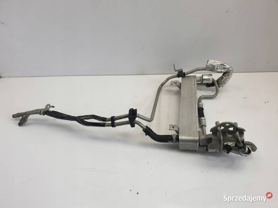 Ford F150 27 35 V6 CHŁODNICZKA OLEJU chłodnica Oświetlenie Chełm