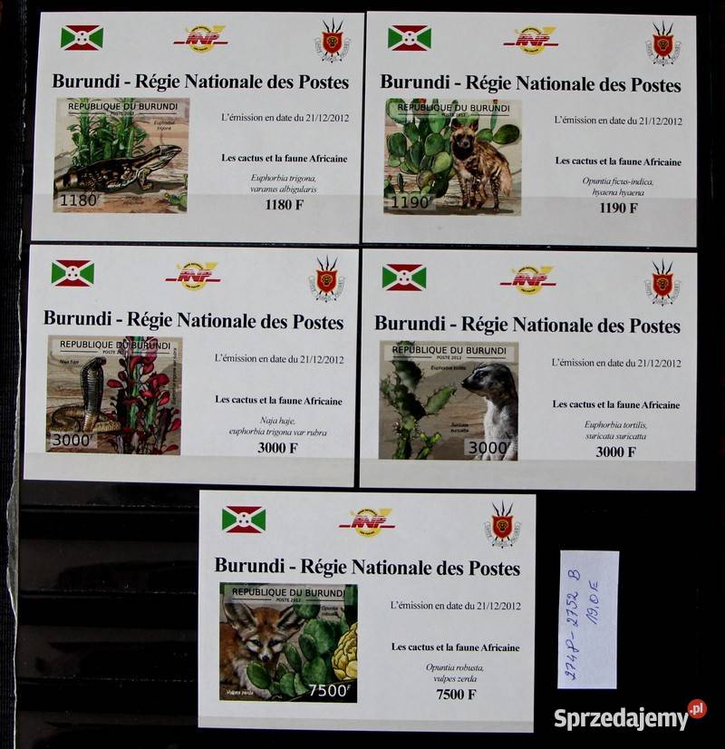 Burundi wielkopolskie