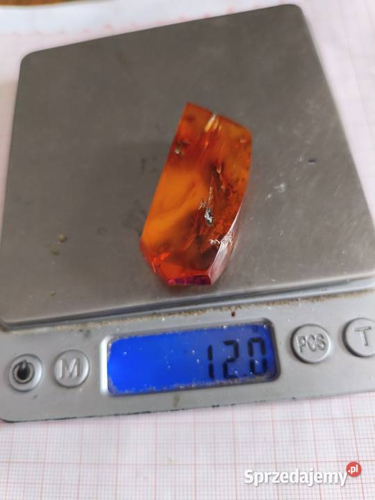 Bursztyn Inkluzja Roślinna podlaskie Białystok