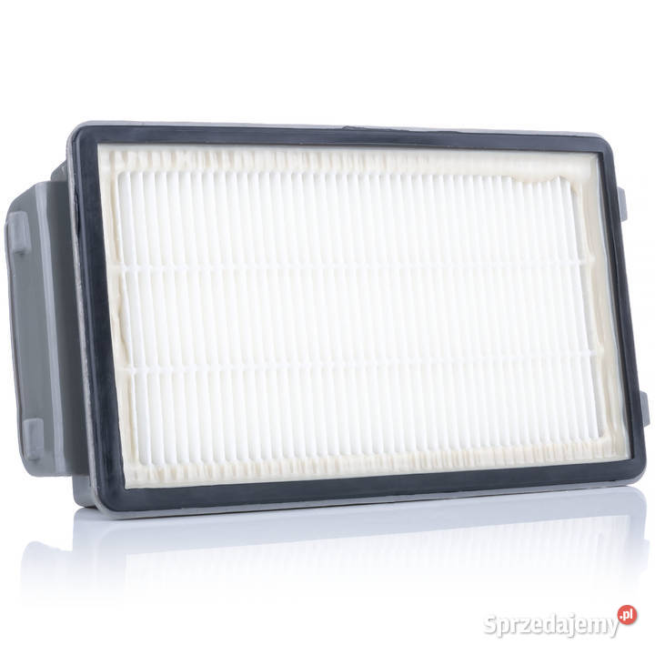 Filtry do Odkurzacza Tefal RO371 4 Sztuki HEPA i Ludźmierz