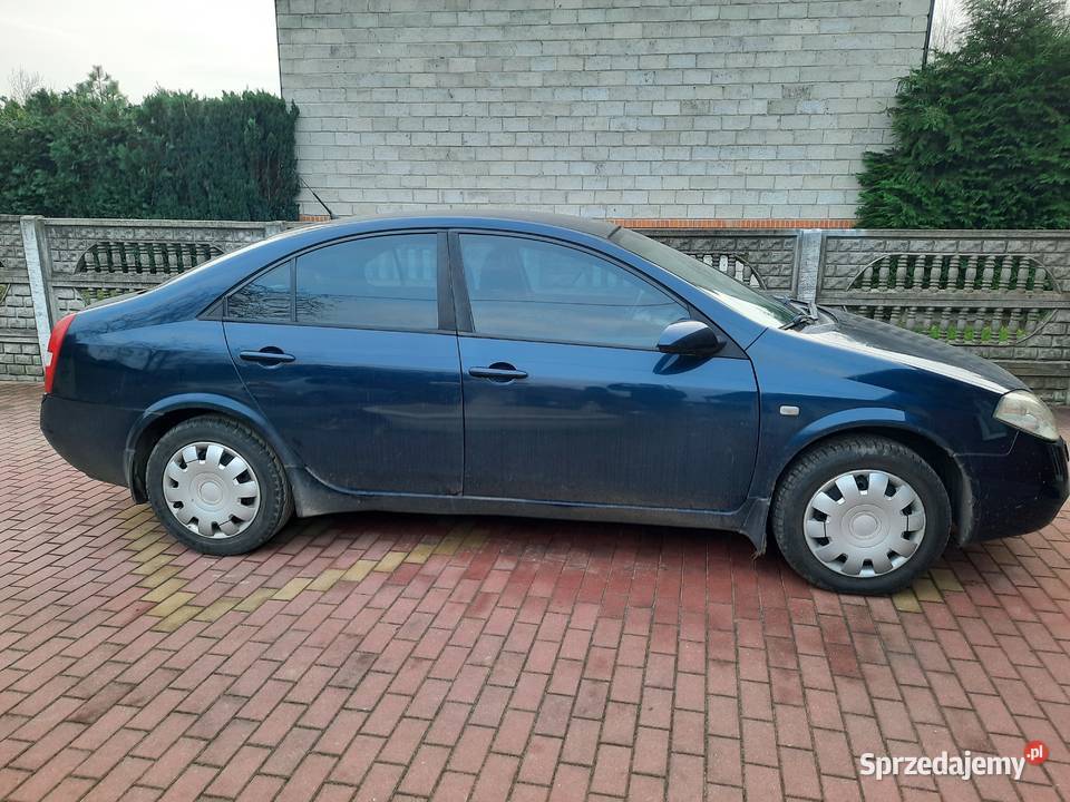 Nissan Primera p12 Osiny