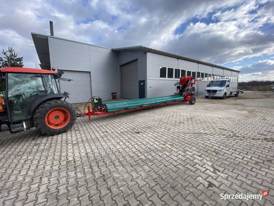 Ekran plandekowy NICOLAS do oliwek pistacji Sienno