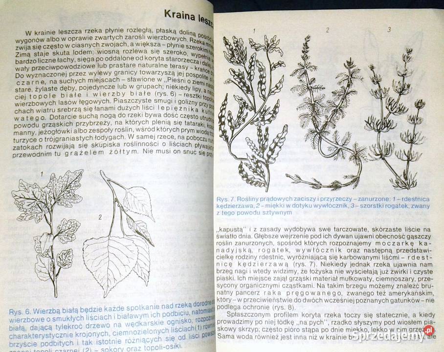 Wędkarstwo rzeczne Wacław Strzelecki lubelskie Chełm