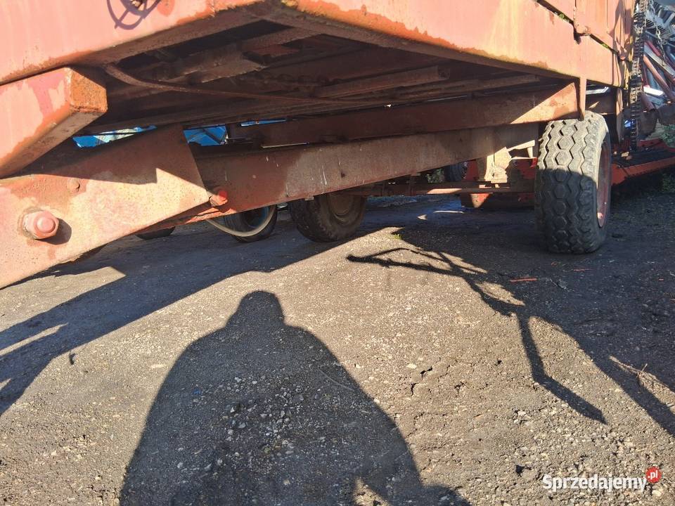 Rozrzutnik nieuszkodzony Kwaśniów Górny