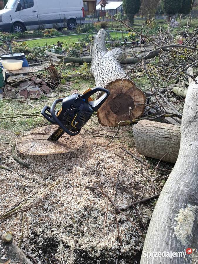 Usługi ogodnicze wycinki porządkowanie działek łódzkie Piotrków Trybunalski