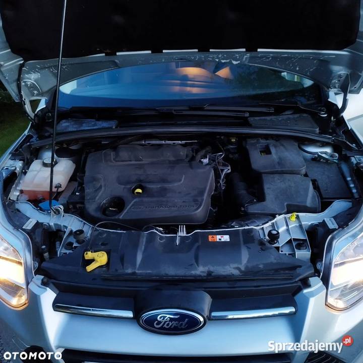 Ford Focus 20 TDCi Edition