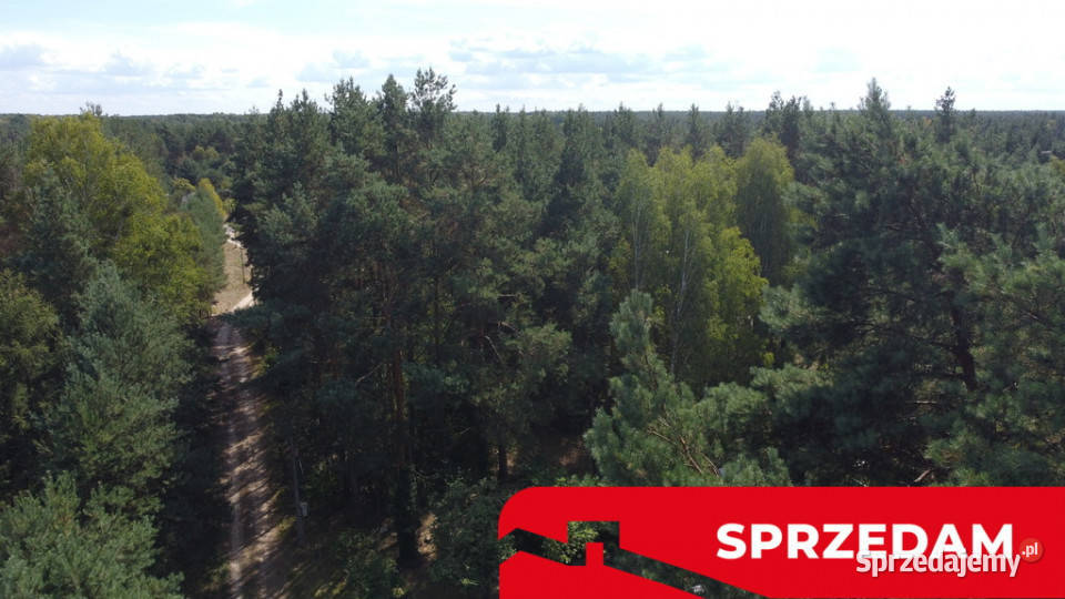 Działka letniskowa 800 m2 w Woli Chodkowskiej Wola Chodkowska