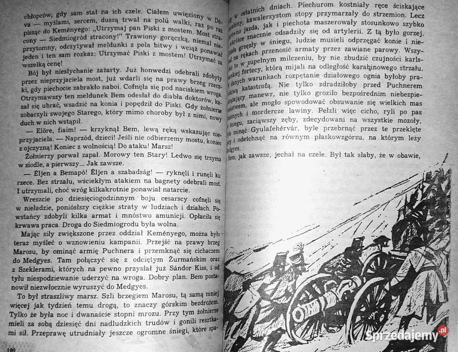 Trójkolorowa kokarda Jadwiga Chamiec