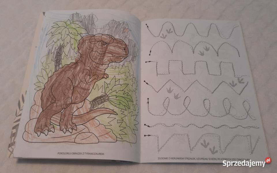 Activity Book ćwiczeń zadań łamigłówki dinozaury Czeladź