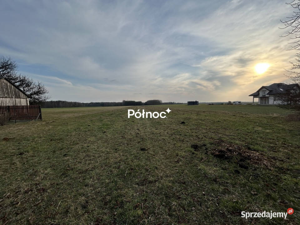 Działka 9000 m lesie Kotłówka gm Żelechów mazowieckie