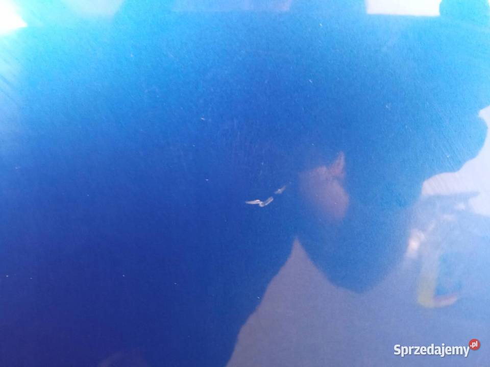 DRZWI PRAWE TYŁ 5D HB NIEBIESKIE Skoda Fabia III