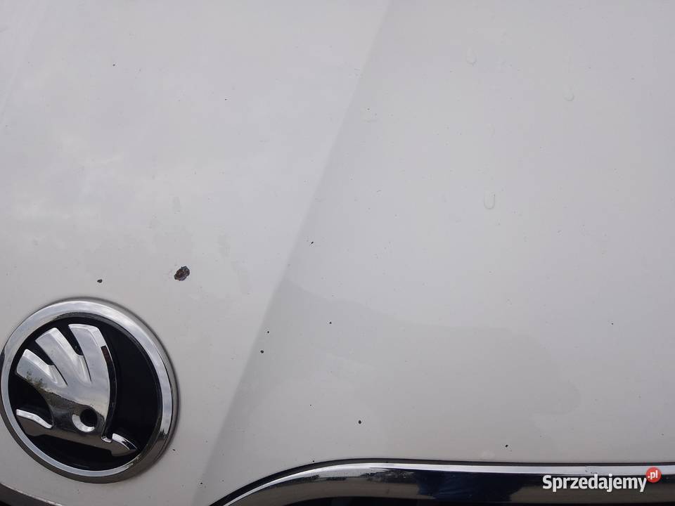 Skoda Rapid 16 TDI Biłgoraj