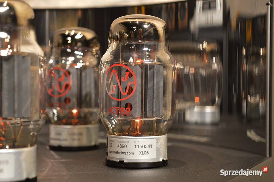 Zesto EROS 300 Monoblock Power Amplifiers Pure zachodniopomorskie Wełdkówko