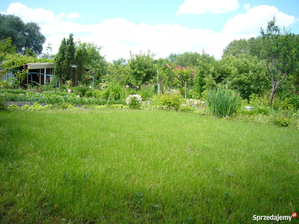 Działka Olsztyn 4 ary warmińsko-mazurskie