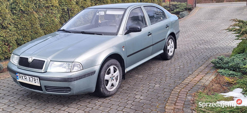 Skoda octawia 14 Rok produkcji 2003 Świerzowa Polska sprzedam