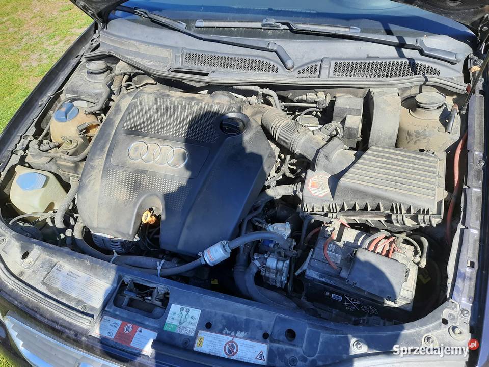 Części audi a3 8l polift Dziadkowskie