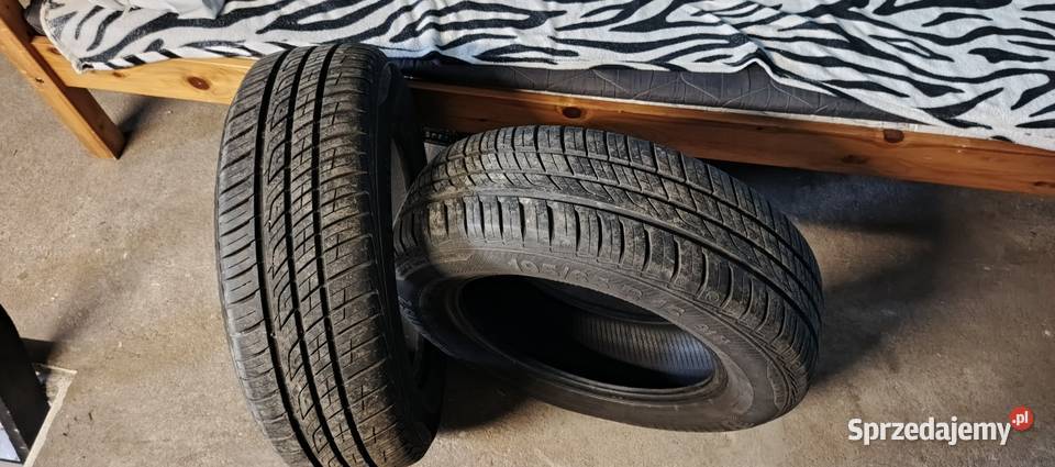 Fitestone RoadHawk 19565 r15 kujawsko-pomorskie Brodnica