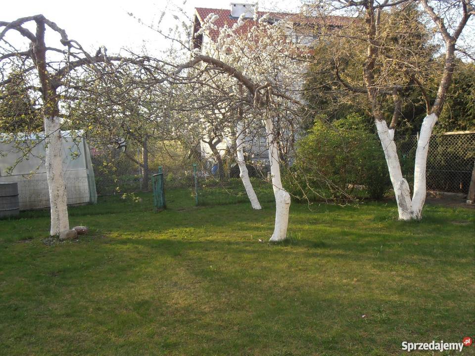 Dom wolnostojący w Olsztynie Dajtki Olsztyn