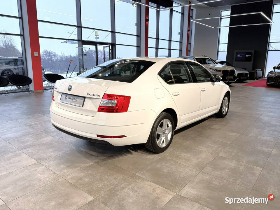 koda Octavia Ambition 16TDI 115 M5 2019 r salon małopolskie Myślenice sprzedam