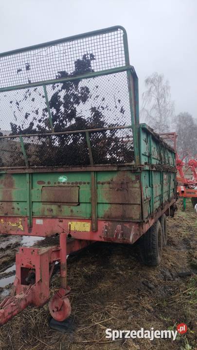 Rozrzutnik obornika 8t Sypniewo