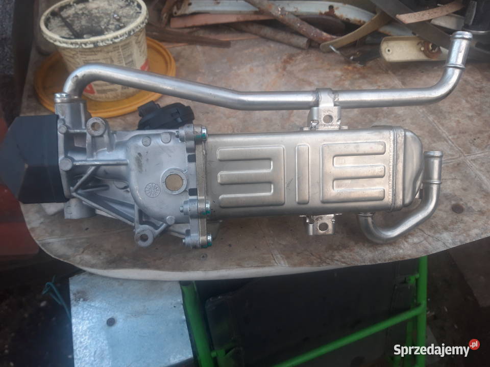 Zawór EGR chłodnica Golf Passat Opole