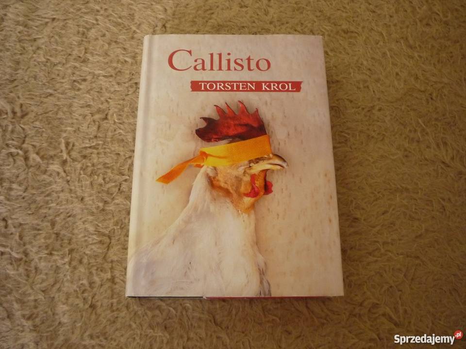 Callisto Torsten Krol Proza i poezja Gdynia sprzedam