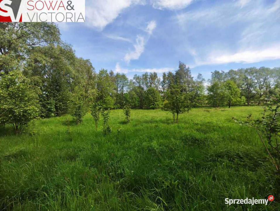 Ciekawa działka budowlana w otulinie drzew Pobiedna