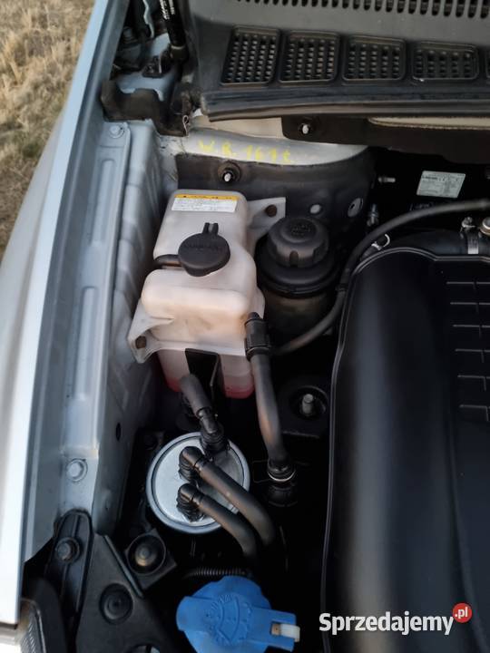 KIA Carnival 29 CRDi 161 skóra elektr hak 7osob ASR (kontrola trakcji) Wrocław