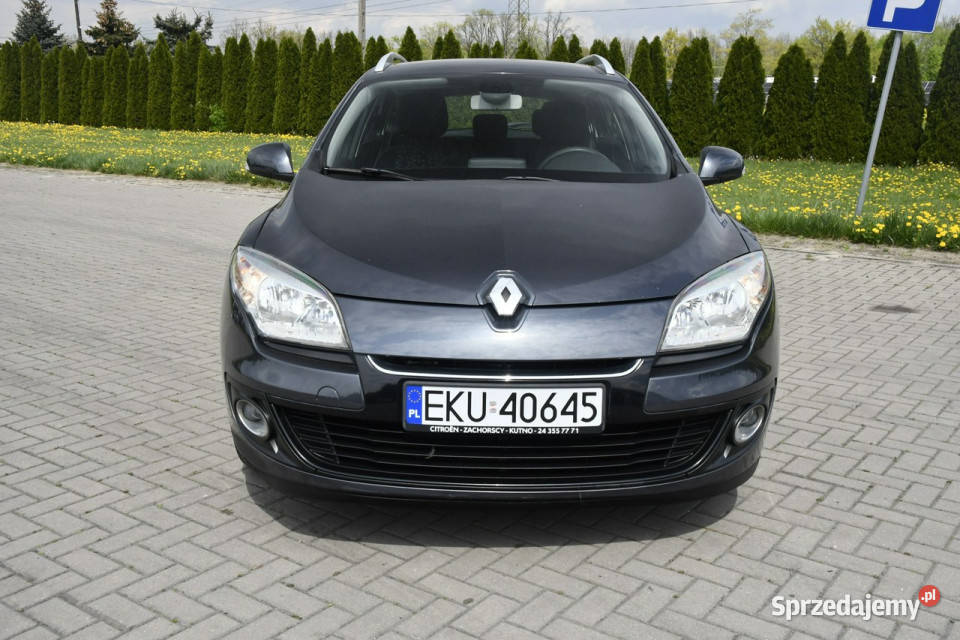 Renault Megane 15dci DUDKI11 NaviKlimatr 2 garażowany Megane Kutno