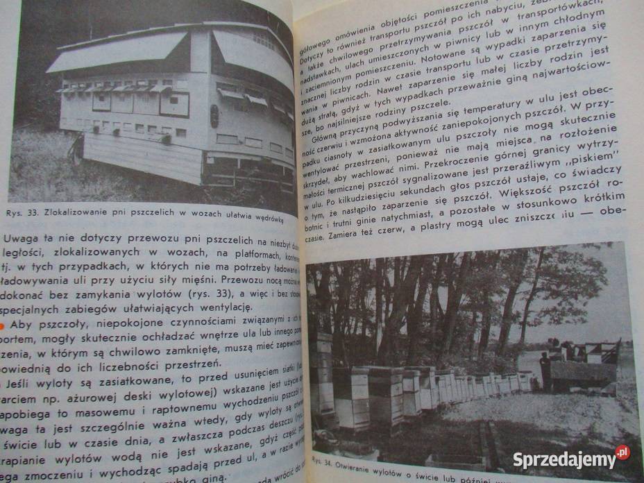 Pszczoły pszczelarstwo pasieka ule choroby Łódź