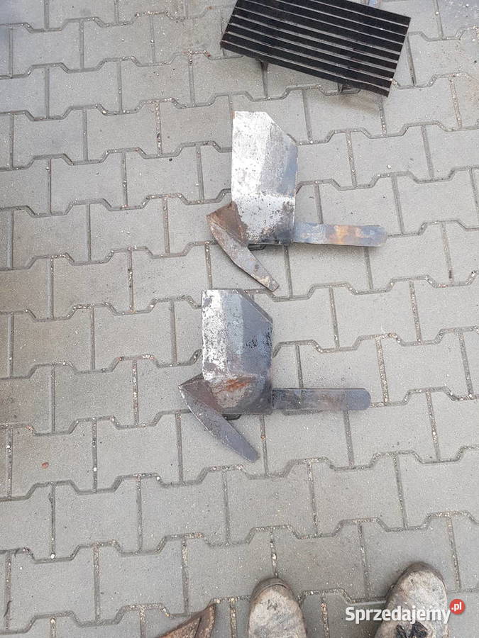 Redlice do sadzarki polskiej Zakroczym