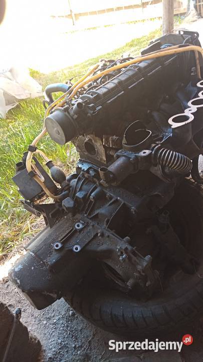 Renault Kangoo 19 d silnik f8q osobowe Grabów sprzedam