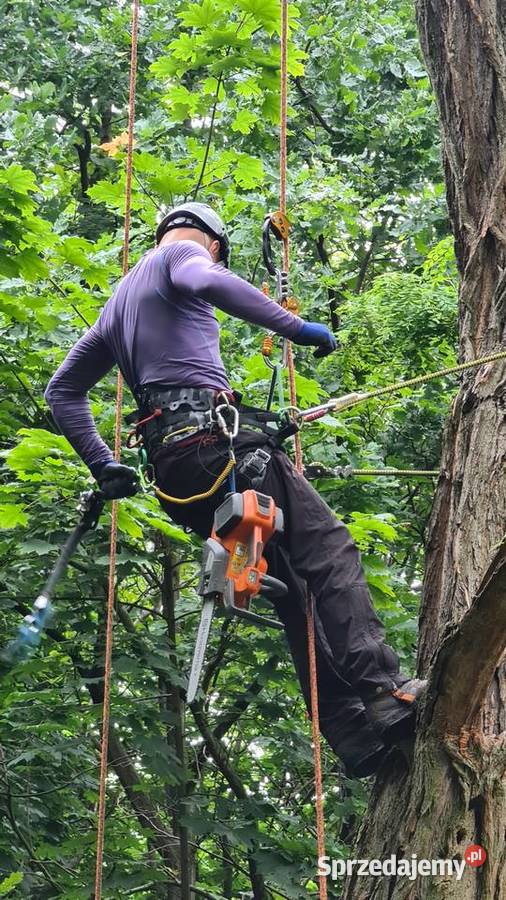 Wycinka drzew pielęgnacja alpinistycznie Wołomin