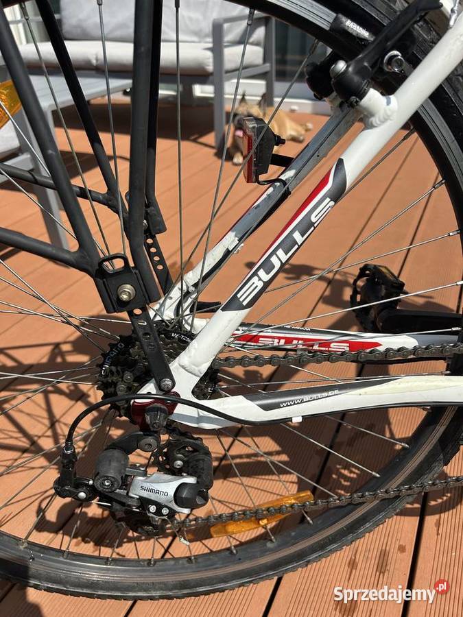 Rower damski crossowytrekkingowy Bulls Wildcross Rowery i akcesoria Wrocław sprzedam