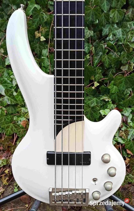 Gitara basowa Cort Curbow 5 Korea Tuszyn sprzedam