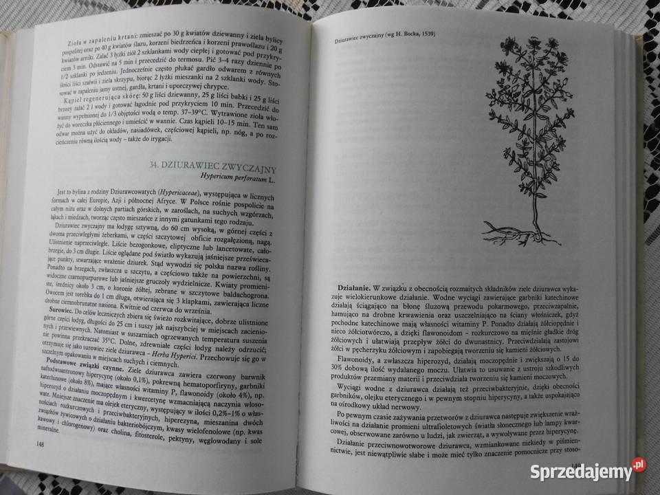 Książka pt Rośliny lecznicze i ich praktyczne Bytom