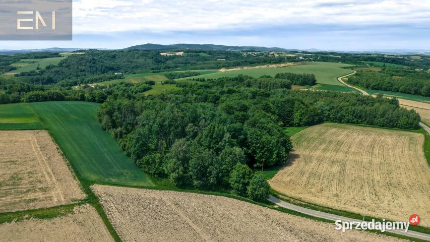 sprzedaży gruntu 4600m2 Szufnarowa