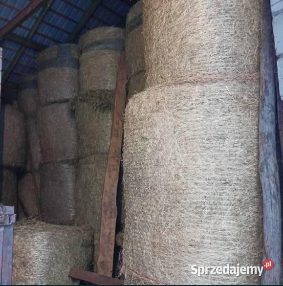Siano w belkach 120x130 Maciejowice