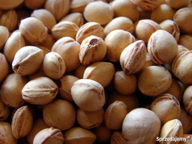 5 Eko Pestka Pestki Wiśni do Naturalnych wielkopolskie Kliny