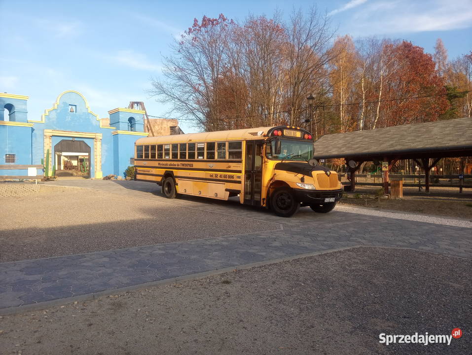 Autobus szkolny School Bus Żory
