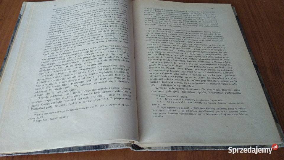 Publicystyka Józefa Ignacego Kraszewskiego w